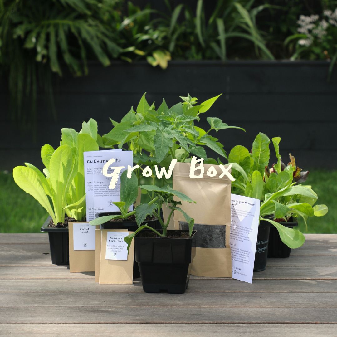 Grow Box