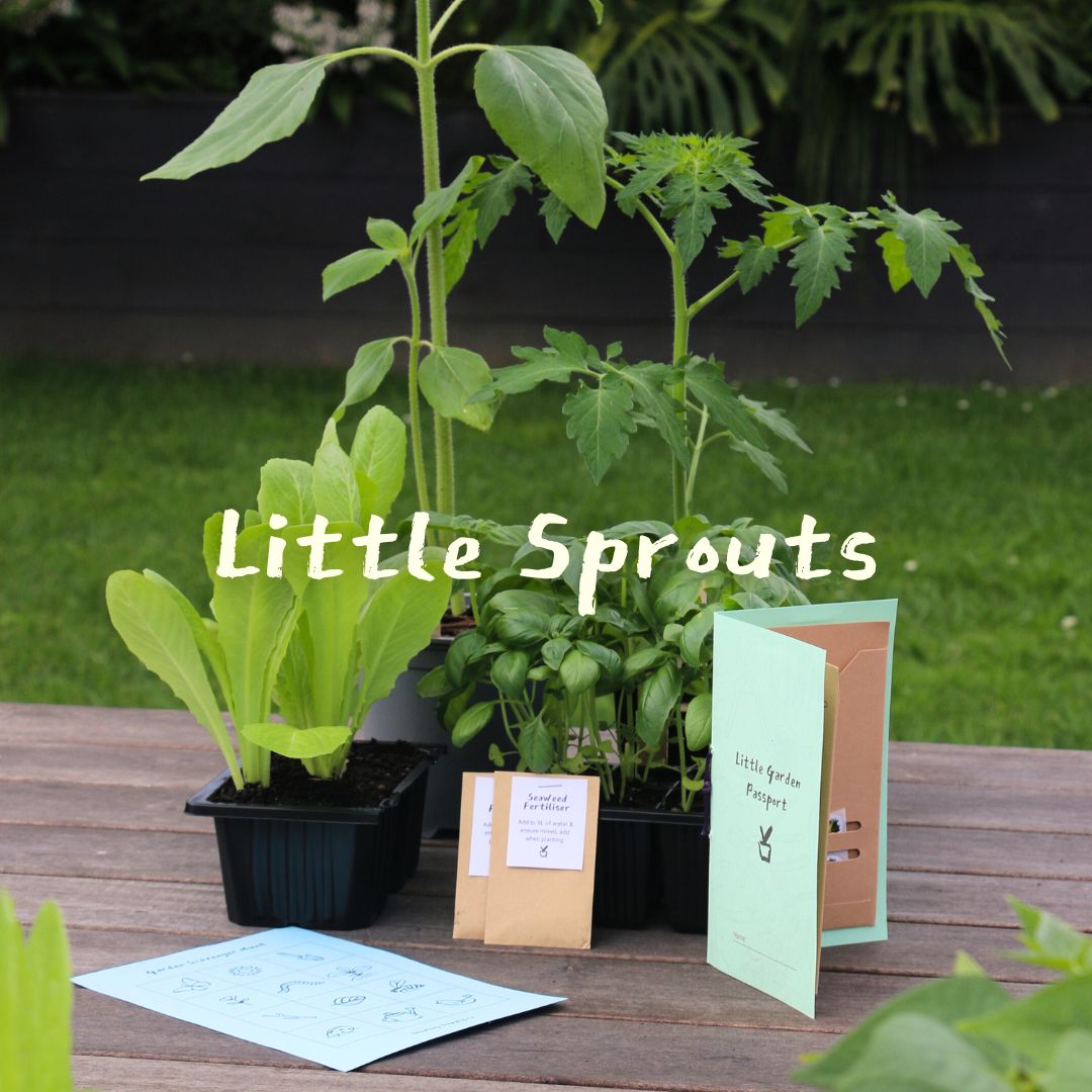 Little Sprouts